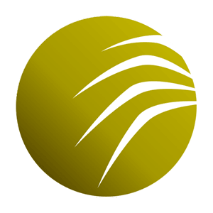 Cavespider Website Production