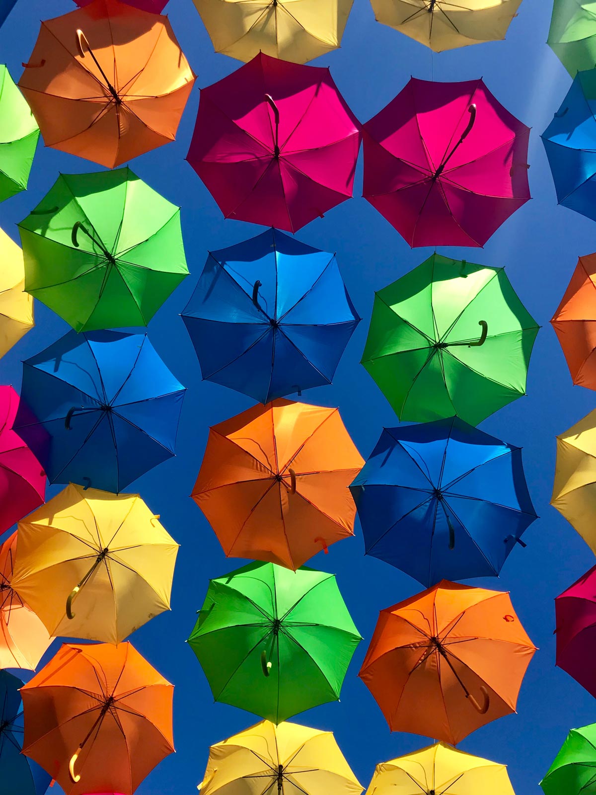 To bespoke or not bespoke website