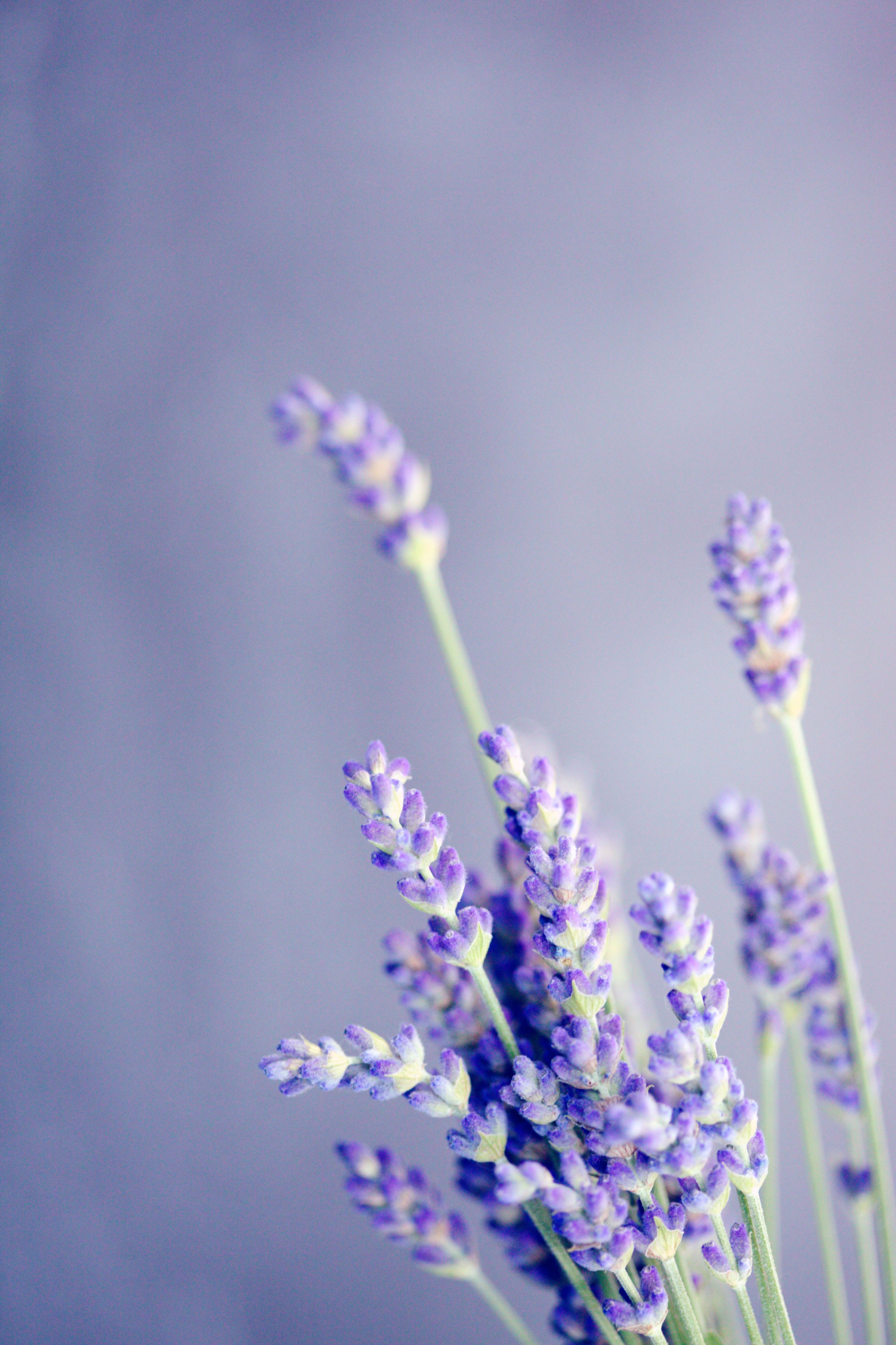 Even the most beautiful flowers need to be changed